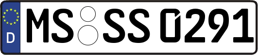 MS-SS0291