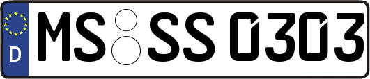MS-SS0303