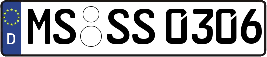 MS-SS0306