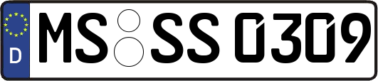 MS-SS0309