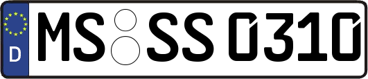 MS-SS0310