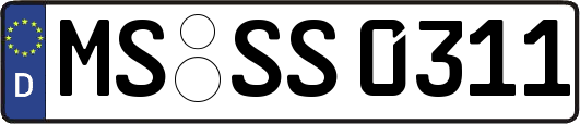 MS-SS0311