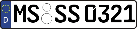 MS-SS0321