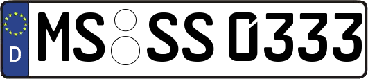 MS-SS0333