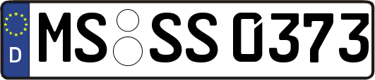 MS-SS0373