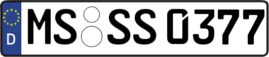 MS-SS0377