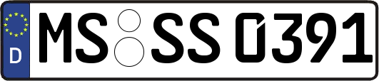 MS-SS0391