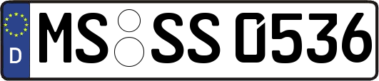 MS-SS0536