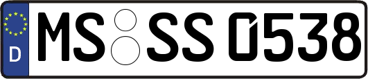 MS-SS0538