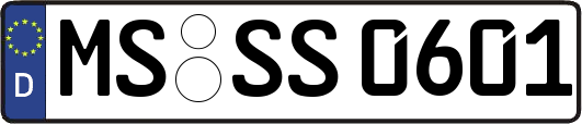 MS-SS0601