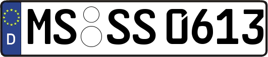 MS-SS0613