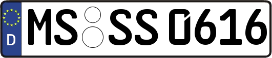 MS-SS0616