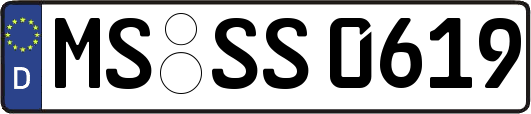 MS-SS0619