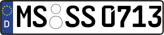MS-SS0713