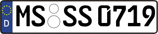 MS-SS0719