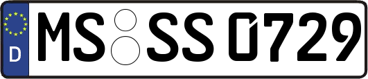 MS-SS0729