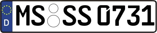 MS-SS0731