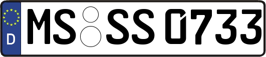 MS-SS0733