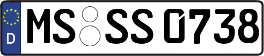 MS-SS0738