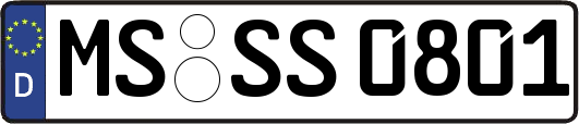 MS-SS0801