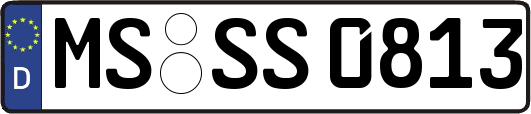 MS-SS0813