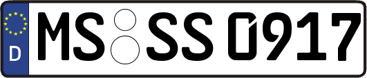 MS-SS0917