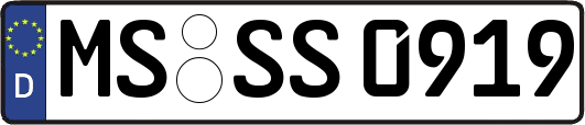 MS-SS0919