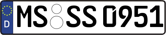 MS-SS0951