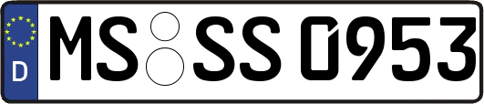 MS-SS0953