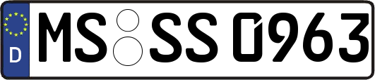 MS-SS0963