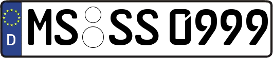 MS-SS0999