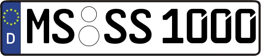 MS-SS1000