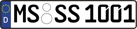 MS-SS1001