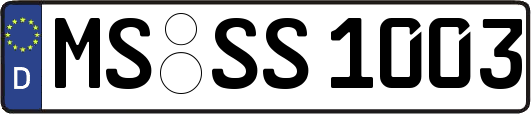 MS-SS1003