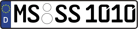 MS-SS1010