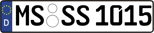 MS-SS1015