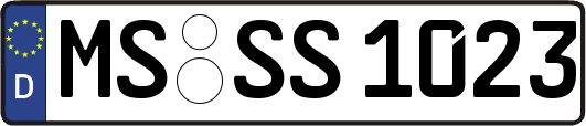 MS-SS1023