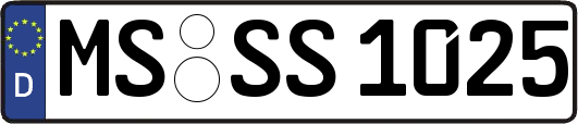 MS-SS1025