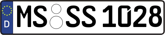 MS-SS1028
