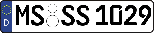 MS-SS1029