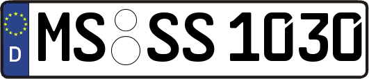 MS-SS1030