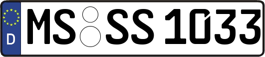 MS-SS1033