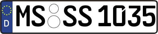MS-SS1035
