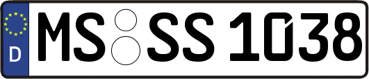 MS-SS1038