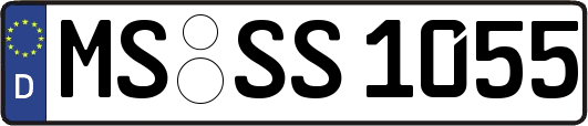MS-SS1055