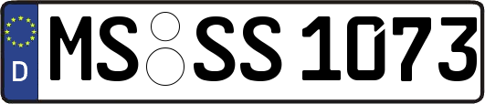 MS-SS1073