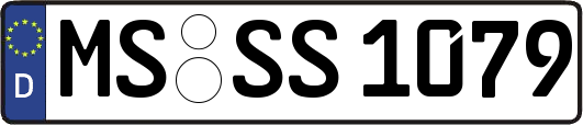 MS-SS1079