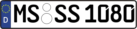 MS-SS1080