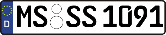 MS-SS1091