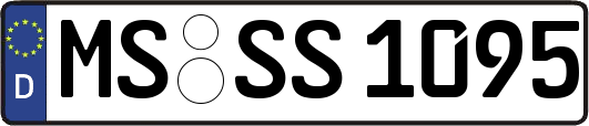 MS-SS1095